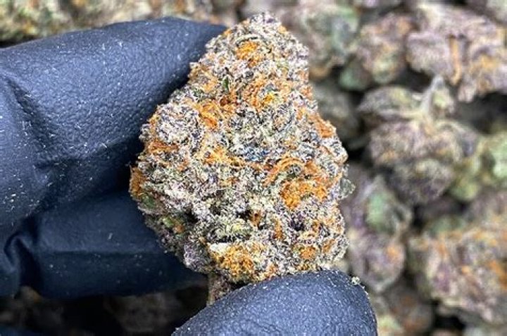 Discover THCA Flower in Alabama