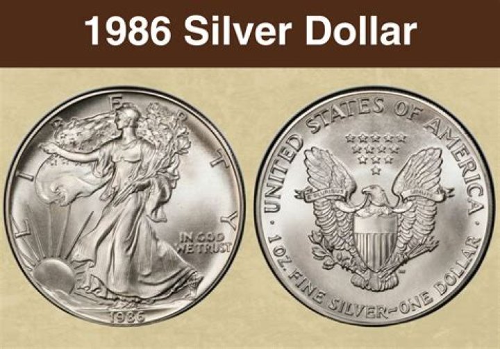 Discover the Historic 1999 Lady Liberty Silver Dollar Today!