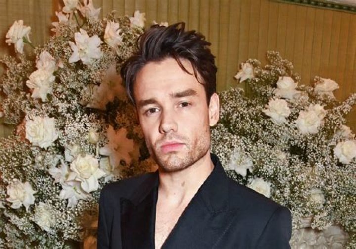 Discovering the Phenomenon: Liam Payne's Journey on The X Factor