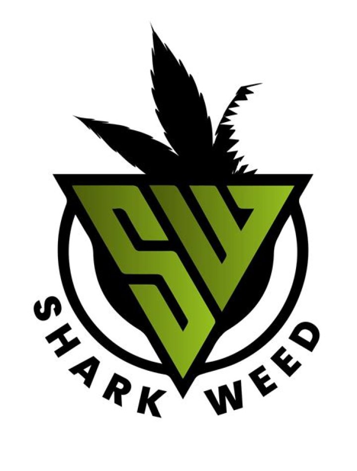 Essential Guide to Shark Weed: Uncover Its Properties and Benefits