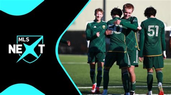 Exploring the Excitement and Drama of the MLS Playoffs