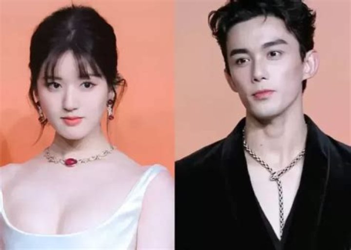 Exploring the Fascinating Lives and Careers of Dylan Wang and Shen Yue