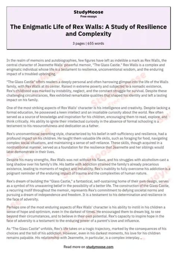 The Enigmatic Life of Slimane's Wife: A Detailed Exploration