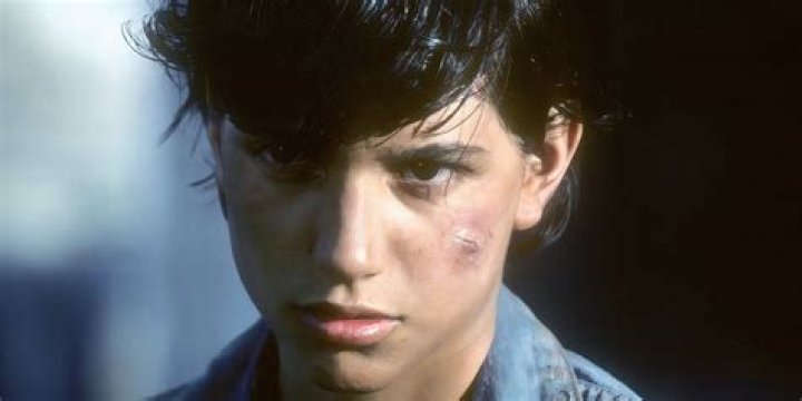 Unraveling the Enigma of Ralph Macchio Young