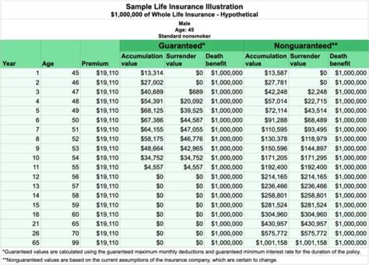 VST Health Dividend Payout: A Comprehensive Overview